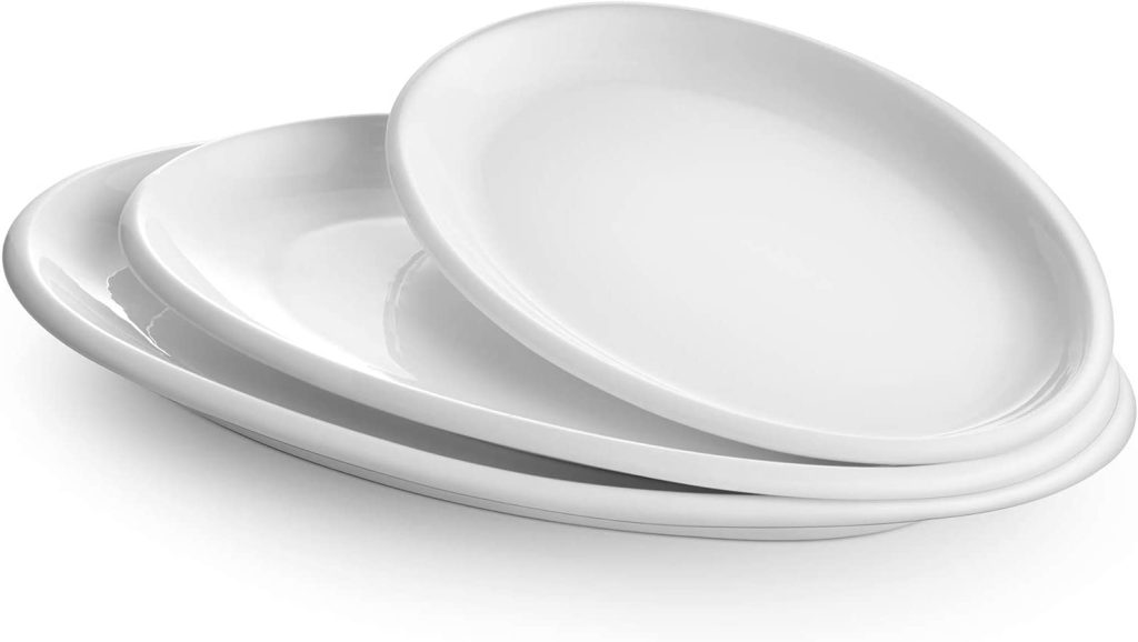 51VQxXsebTL. AC SL1500  1024x578 - Can We Buy Serving Dishes And Platters Malaysia Online?